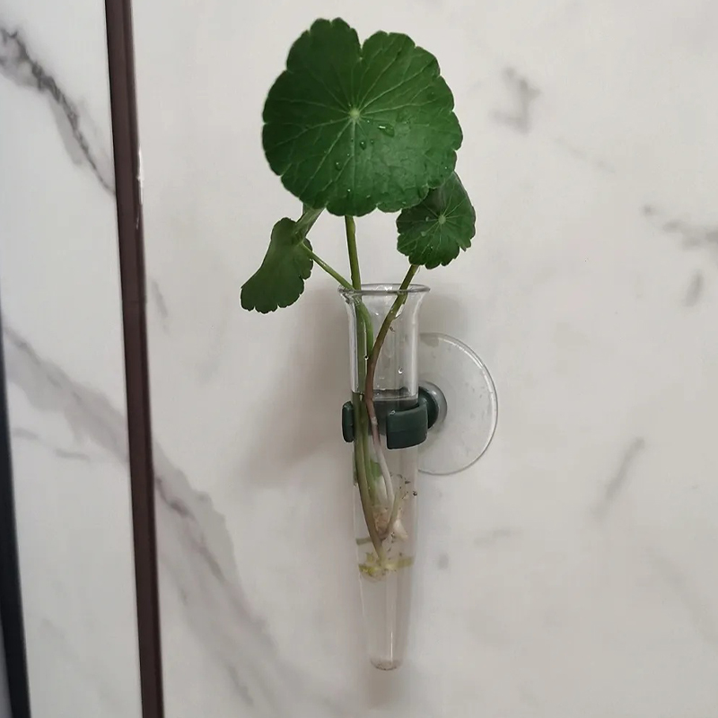 Tubos de Água Florais de 11cm, - Nutrition & Fitness Coaching Fulham avaliação e preço