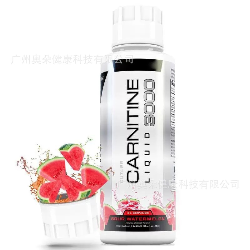 Carnitina Líquida 473ml Aument - Nutrition One Fitness avaliação e preço
